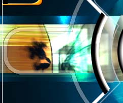 center1.jpg (17661 bytes)